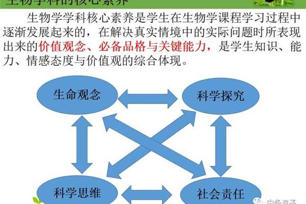 四大核心素养