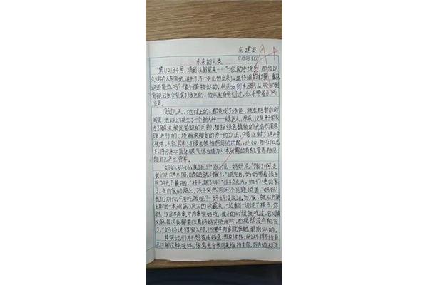初一满分作文