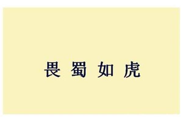 公开头的成语