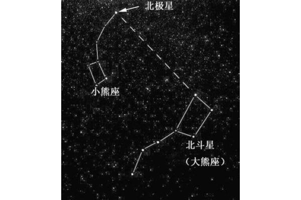 北极星在哪个星座