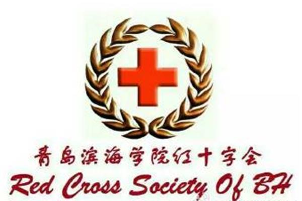 中国红十字会