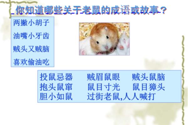 公开头的成语