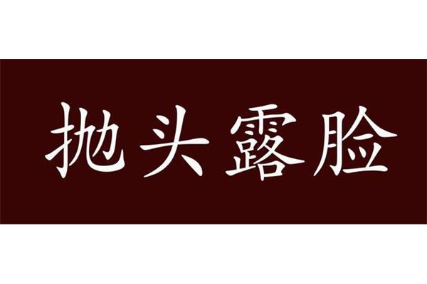 公开头的成语