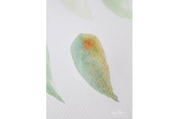 水彩怎么用