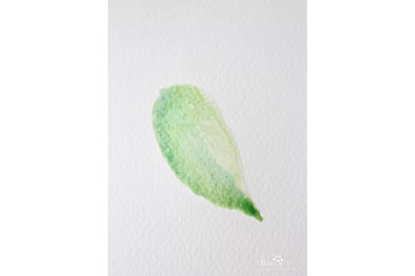 水彩怎么用