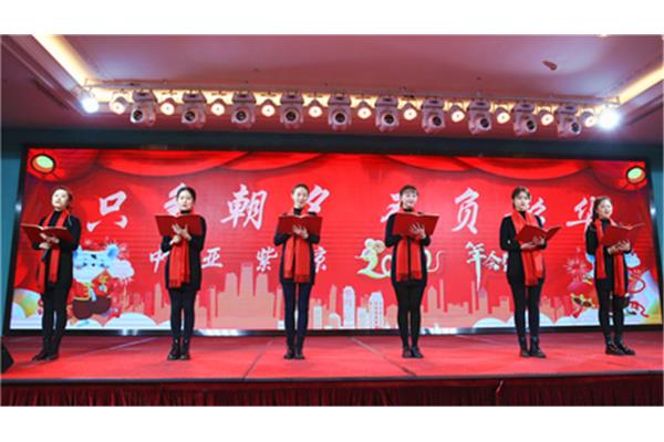 公司年会诗朗诵