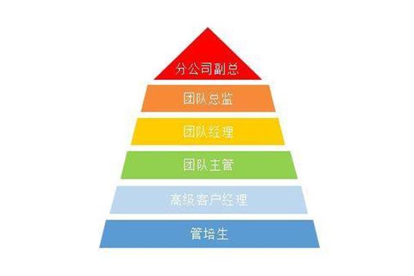 管培生是啥意思