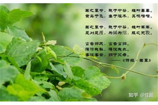 有关劳动的诗歌
