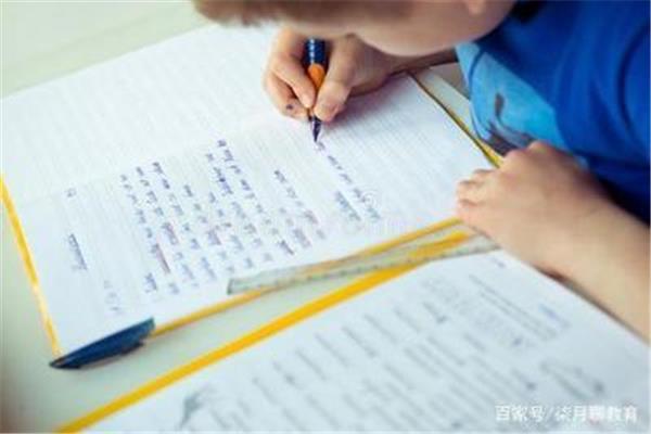小学语文学习