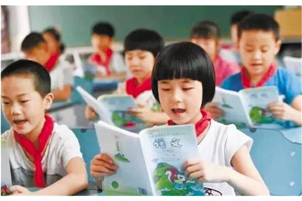 小学语文学习