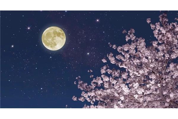 中秋节的月亮