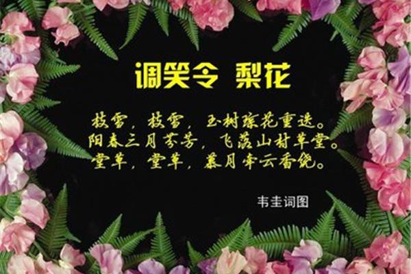 调笑令韦应物