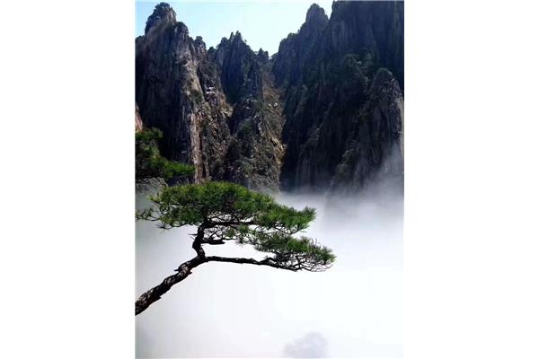 黄山景点简介