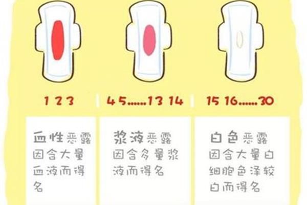 恶露是什么