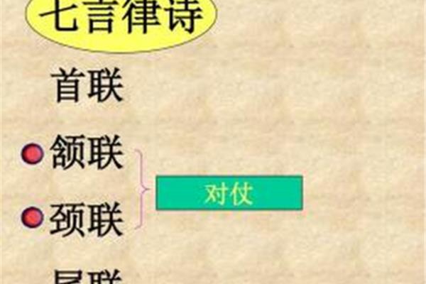 颈联是第几句