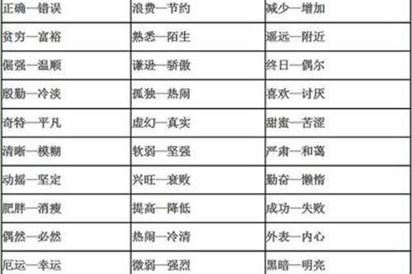 赞成的反义词