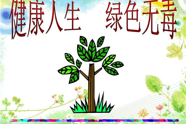 健康的人生