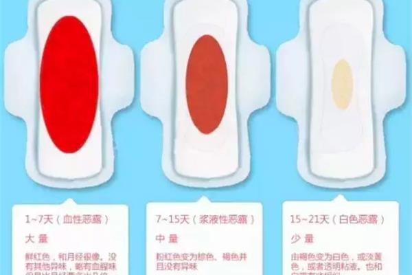 恶露是什么