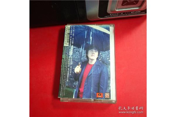 雨一直下歌词张宇