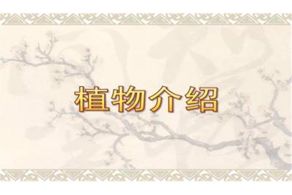 含有植物的诗句