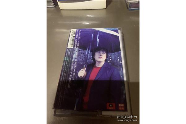 雨一直下歌词张宇
