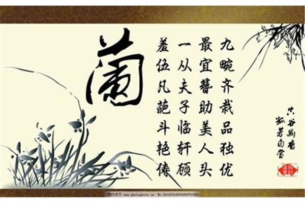 竹有关的诗句