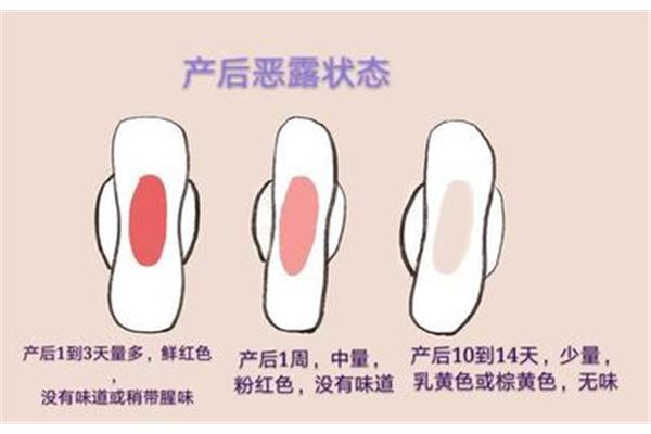 恶露是什么