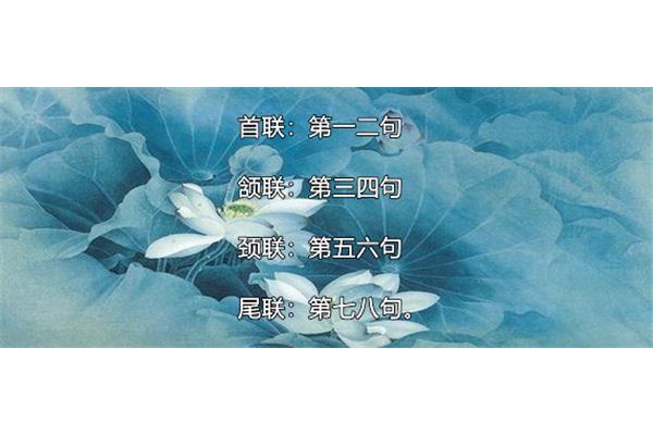 颈联是第几句
