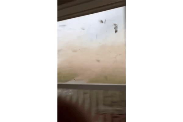 翻云覆雨的意思