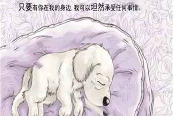 请你不要离开我