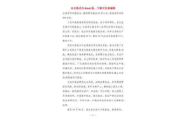 百日行动工作总结