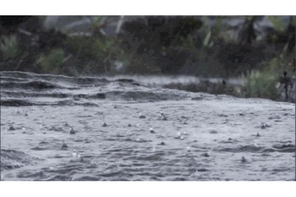 翻云覆雨的意思