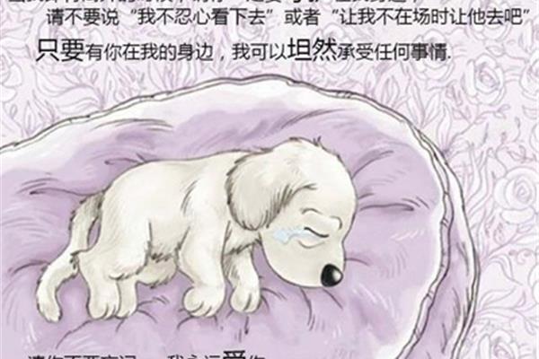 请你不要离开我