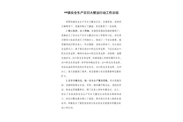 百日行动工作总结