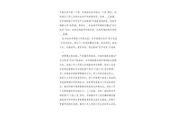 百日行动工作总结