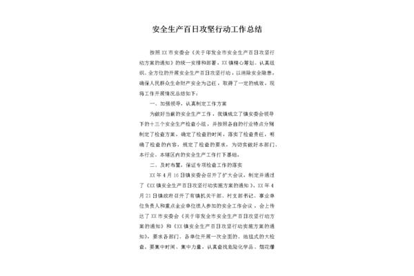 百日行动工作总结