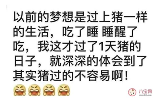 幽默搞笑的句子