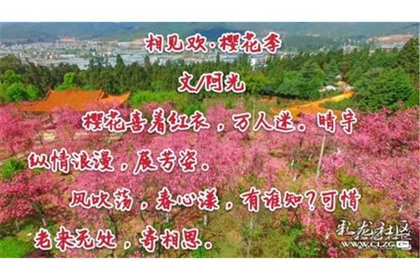 旁逸斜出的意思