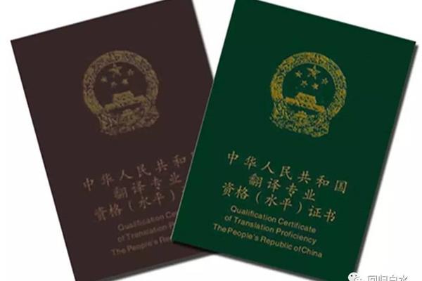 catti报名