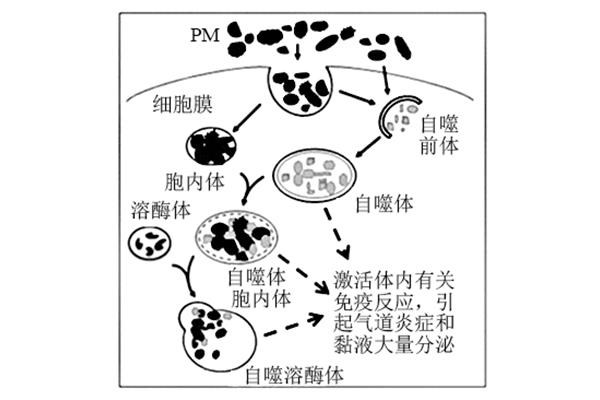 大气颗粒物
