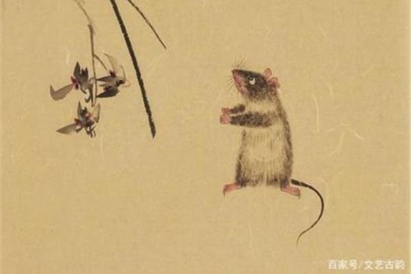 老鼠过街的歇后语