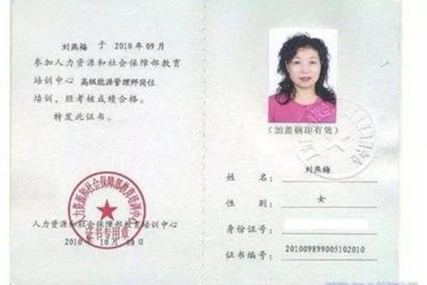 高级审计师