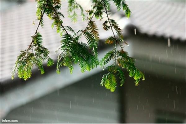 下雨的清晨