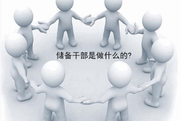 储备干部是干嘛的