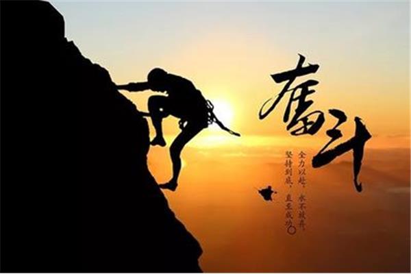 公司的命运