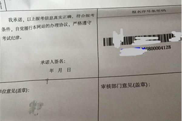 catti报名