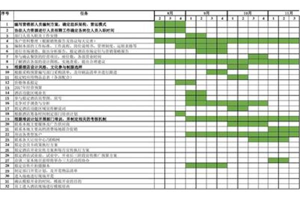 行动计划表