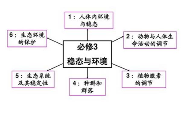 稳态的概念