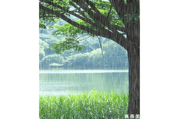 下雨的清晨