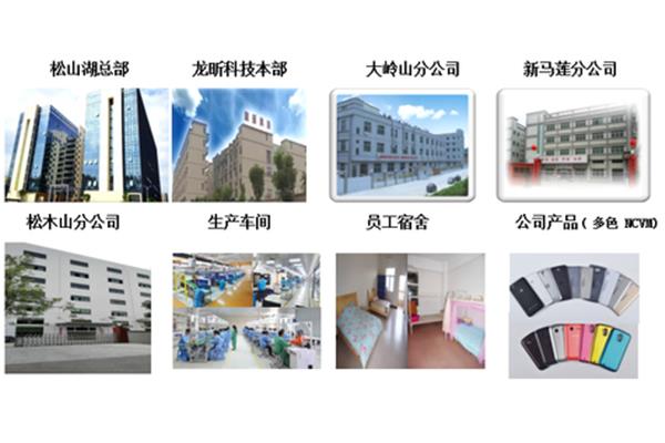储备干部是干嘛的